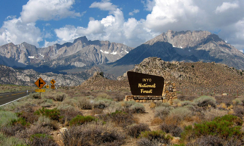 Special Rules for the Inyo National Forest